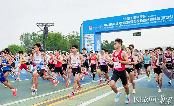 img, 推进更专业, cn