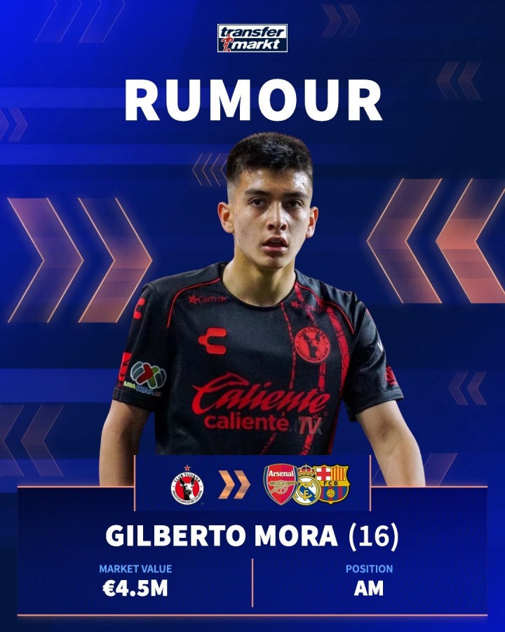 他的表现 他的表现