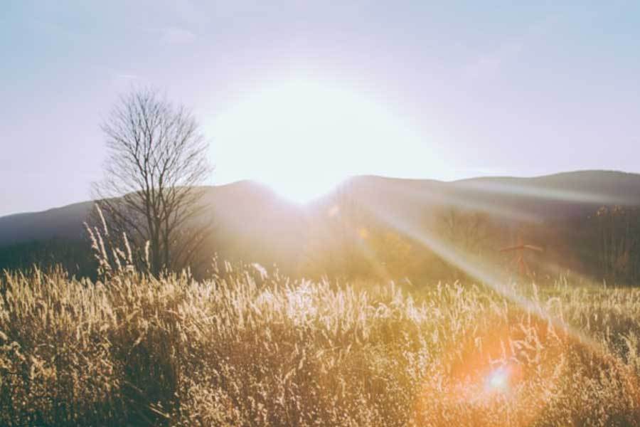 巴黎圣日耳 巴黎圣日耳